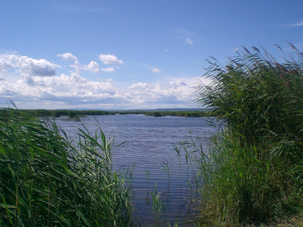 Ferienwohnungen Feldsee 일미츠 외부 사진