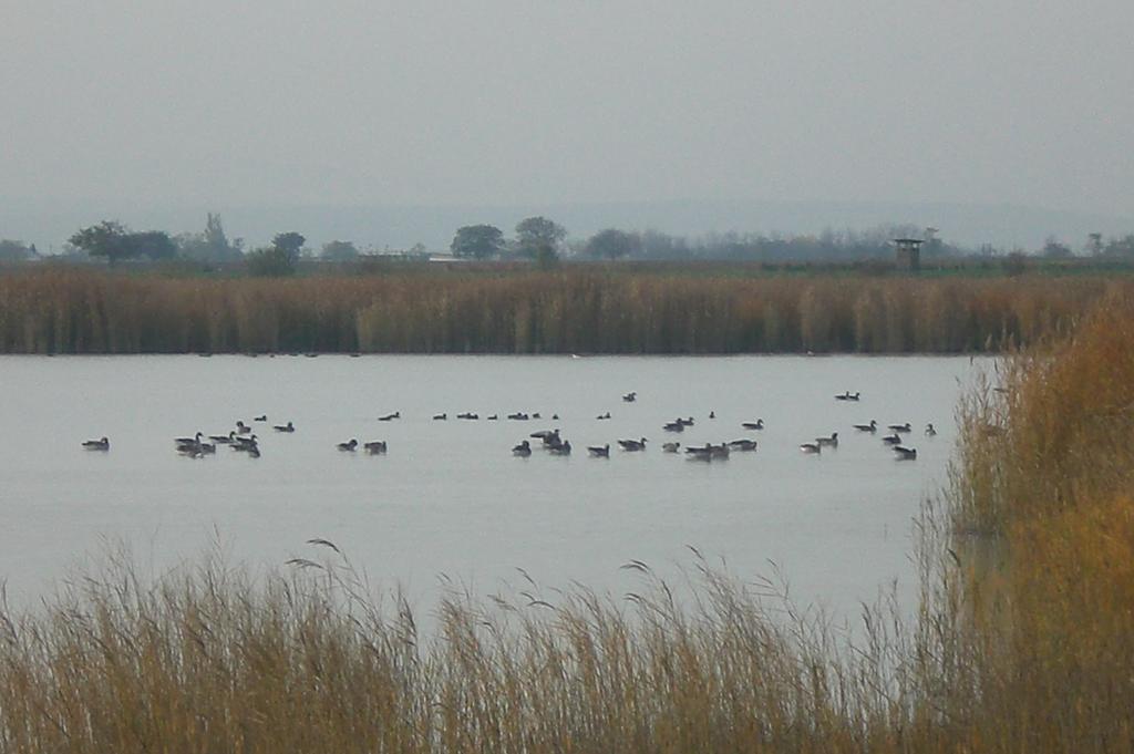 Ferienwohnungen Feldsee 일미츠 외부 사진