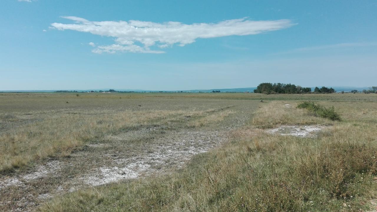 Ferienwohnungen Feldsee 일미츠 외부 사진